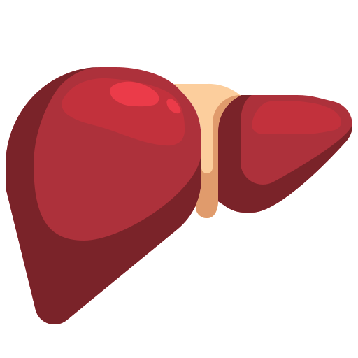 Liver Cancer